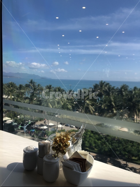 바다,해변,동남아,여행지,야자수,호텔,plant,식물,sea,beach,hotel,vietnam