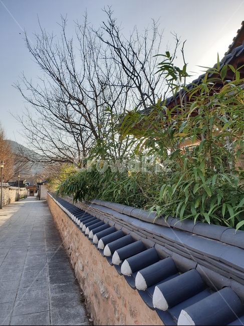 한국,전통,한옥,전주,한옥마을,전주한옥마을,지붕,담,하늘,korea,tradition,traditional,jeonju,structure,한국전통,한국문화,korean traditional,korean culture,건축물,건물외관,exterior,building,structure,architecture,construction