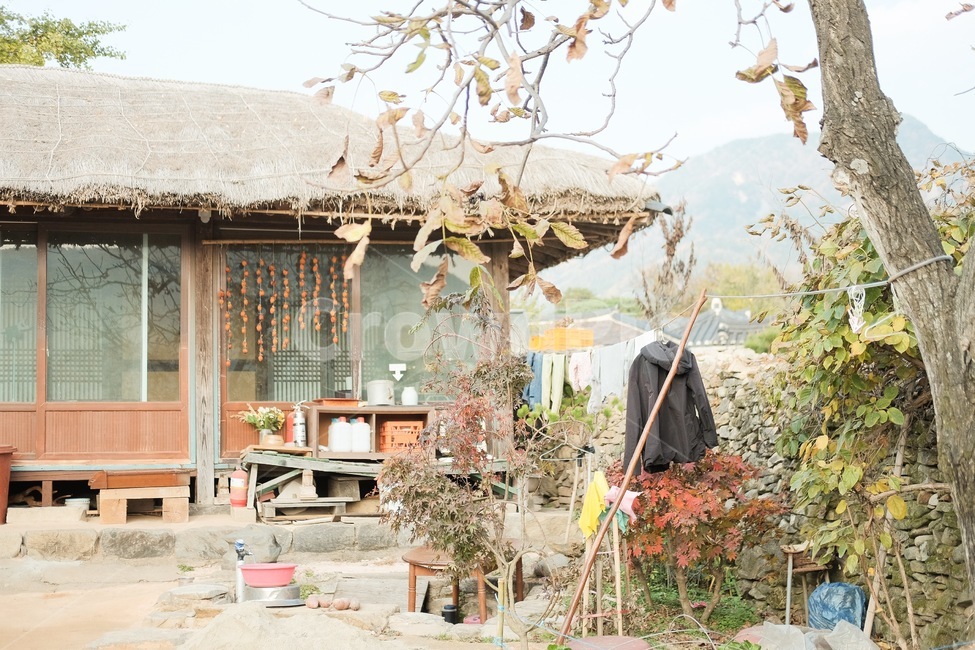 시골,초가집,한옥마을,시골집,빈티지,가을,계절,fall,autumn,season,시골,마을,풍경,landscape,country,rural,town,nature,자연,outdoors,옥외,building,건물,농촌