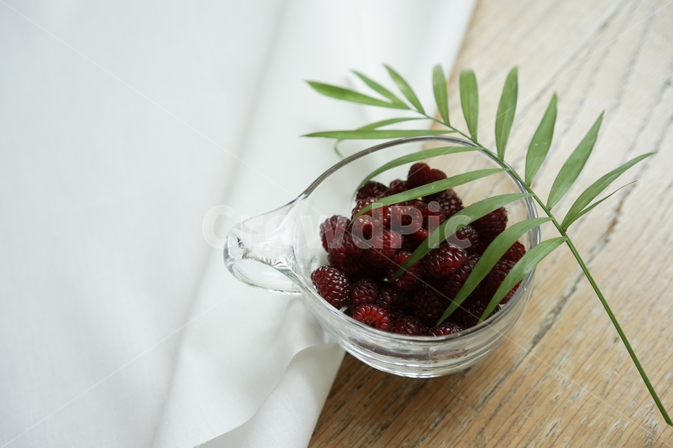산딸기,열매,과일,라즈베리,raspberry,식물,자연,plants,nature,음식,식재료,요리,food,cook,meal,dishes,food reserves,과일,열매,fruit,감성,sensible,feeling,연출,컨셉,콘셉,direction,concept