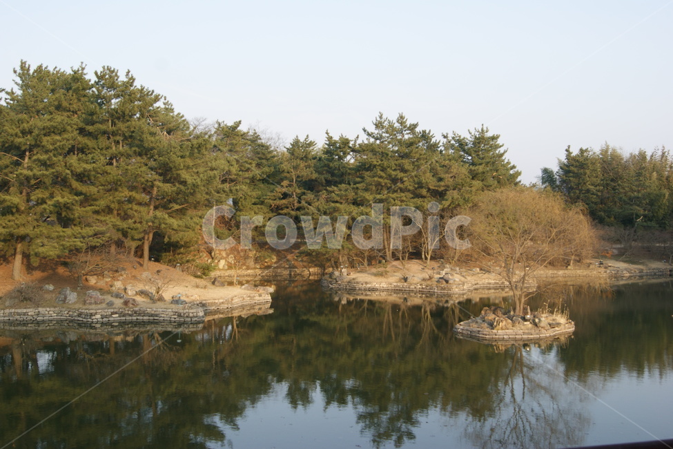 자연,풍경,landscape,nature,휴식,rest,season,강가,강,가을,나무,경주,한국