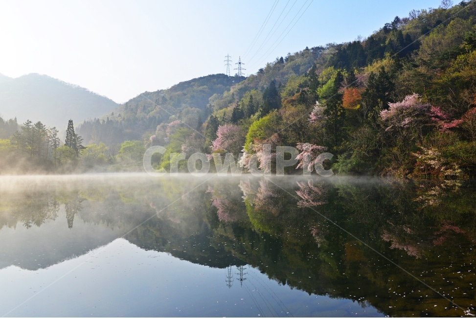 전남,화순,세량지,세량제,봄,저수지,반영,벚꽃,산,nature,자연,outdoors,옥외,초록,아침,물안개,봄,계절,spring,season,자연,풍경,nature,landscape,한국자연풍경,한국자연경관,korea nature landscape
