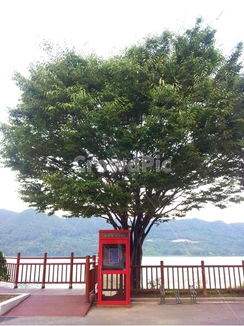 감성,호수,나무,공중전화,예쁜배경,풍경,자연,물가