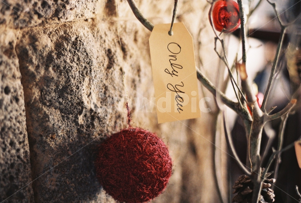 크리스마스,꾸미기,풍경,장식볼,ornament,onlyyou,필름사진,겨울,계절,winter,season,기념일,축하,anniversary,congratulation,celebrate,celebration,메리크리스마스,성탄절,merry christmas,감성,sensible,feeling