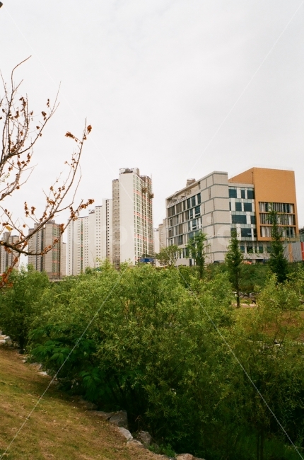 필름,필름사진,동네,감성,산책,아날로그,film,fuji,walk,green,walgreen,iso200,35mm,도시,풍경,city,landscape,high rise,고층 건물,town,urban,어반,시티,building,건물