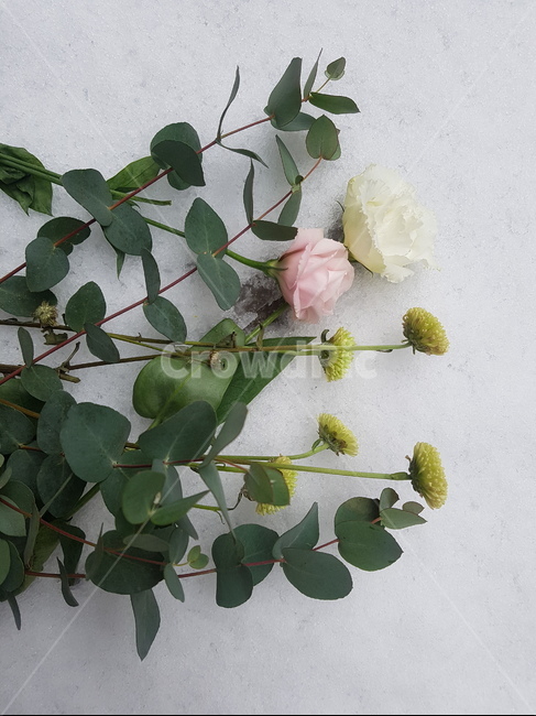 눈,겨울,꽃,식물,하얀색,분홍색,장미,유칼립투스,보타닉,winter,white,pink,꽃다발,첫눈