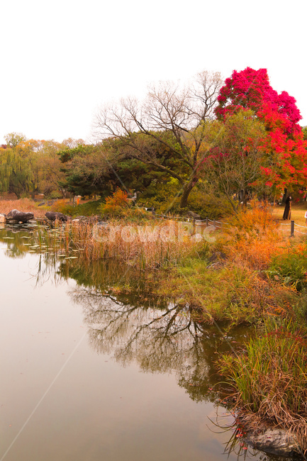 nature,자연,물,land,water,가을,계절,fall,autumn,season,자연,풍경,nature,landscape