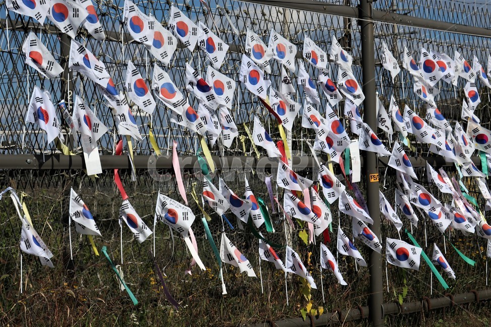 파주,임진각,철조망,철책,태극기,통일,염원,분단,아픔,기원