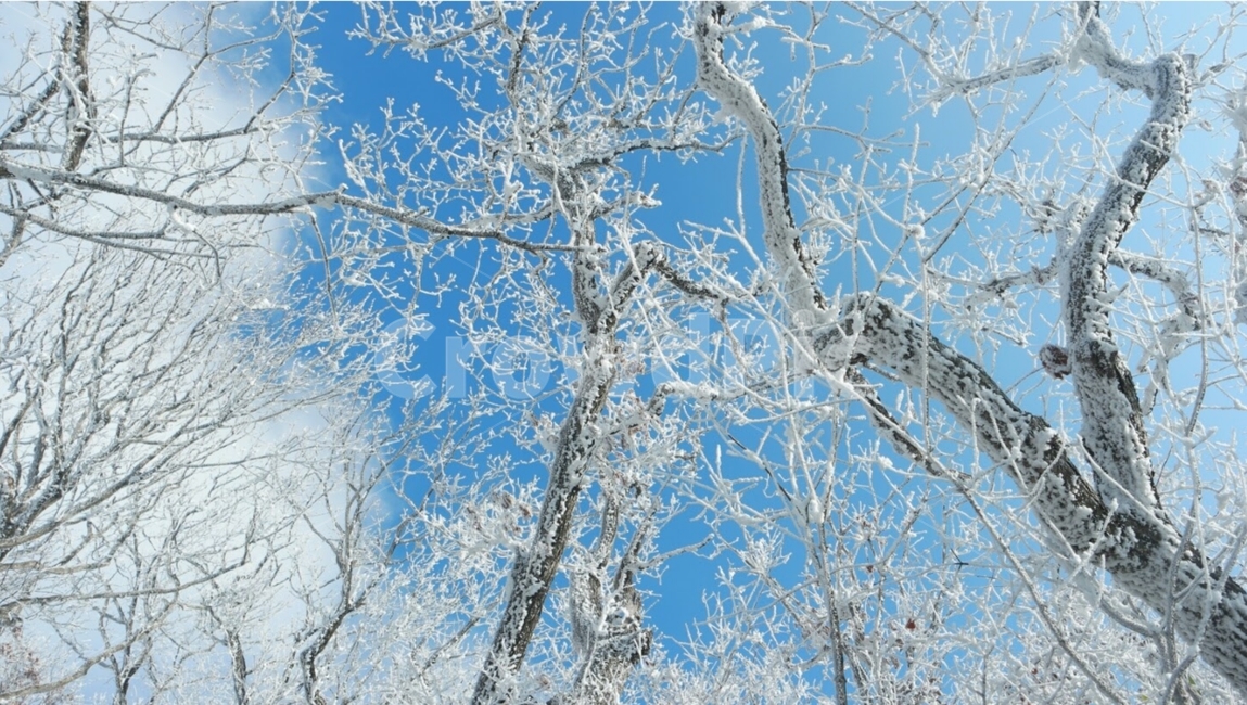 산,나무,겨울,하늘,눈,겨울,계절,winter,season,식물,자연,plants,nature,나무,trees,wood