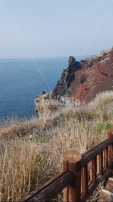 바다,제주도,제주,풍경,자연
