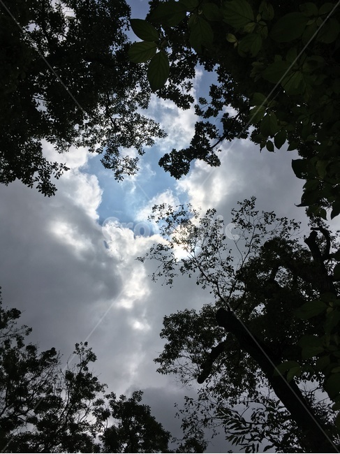 자연,하늘,숲,힐링,휴식,구름,자연,풍경,nature,landscape,weather,날씨,tree,나무,plant,식물,outdoors,옥외