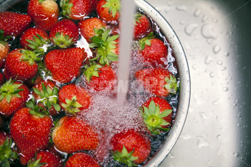 딸기,strawberry,과일,food,음식,씻다,싱크대,과일,열매,fruit