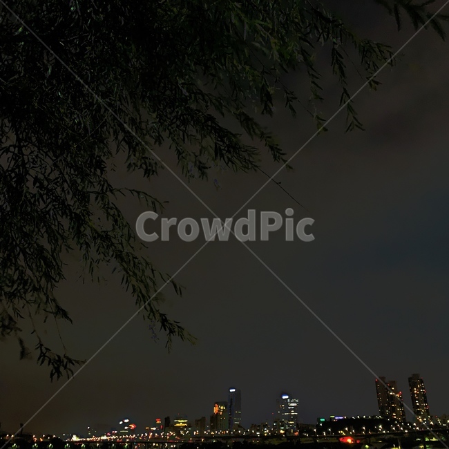 자연,나무,밤하늘,한강,저녁,야경,밤,풍경,nightscape,night,landscape