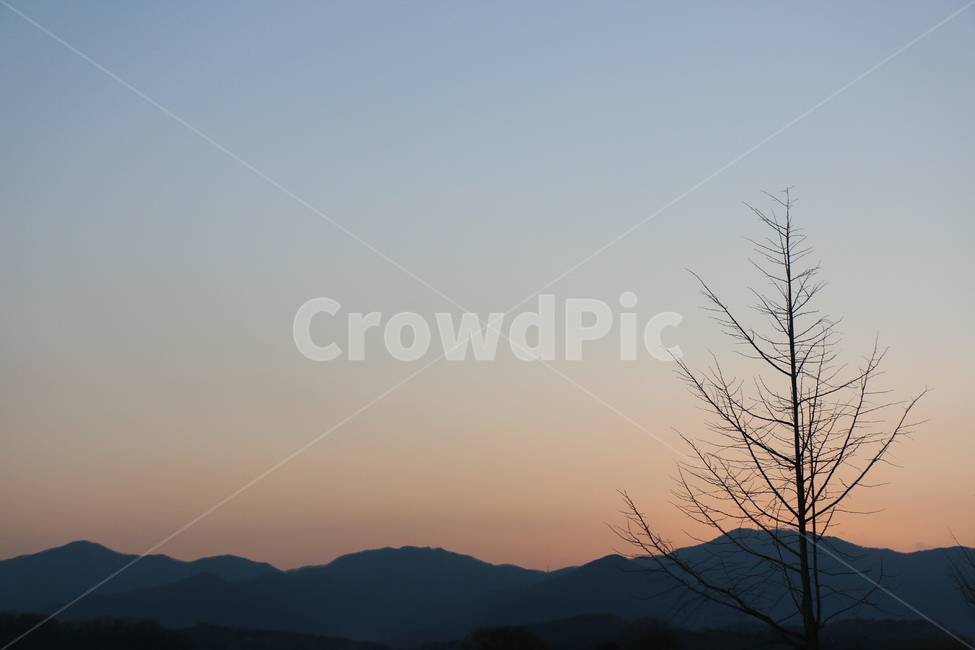nature,새벽,sunset,일몰,dusk,자연,outdoors,황혼,sky,하늘,redsky,옥외,dawn,붉은하늘,겨울,외로운,넓은,광활한,광활하다,맑은하늘,맑은,풍경,배경
