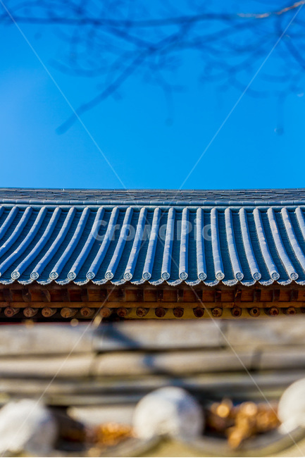 기와,문양,패턴,선,가을,한국전통,한국문화,korean traditional,korean culture,건축물,건물외관,exterior,building,structure,architecture,construction