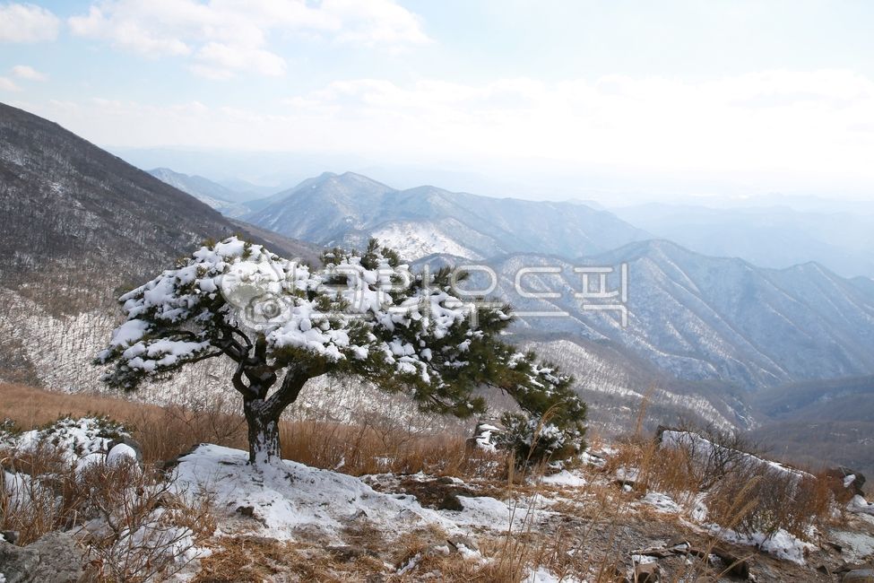 설경, 눈, snow, 무등산, 국립공원, 사진,이미지,일러스트,캘리그라피 - 고운경작가