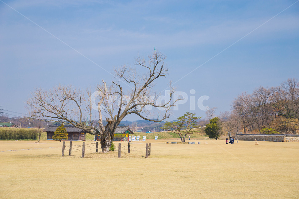 해미읍성,한옥마을,민속마을,대초원,들,outdoors,grassland,옥외,목초지,nature,자연,savanna,field