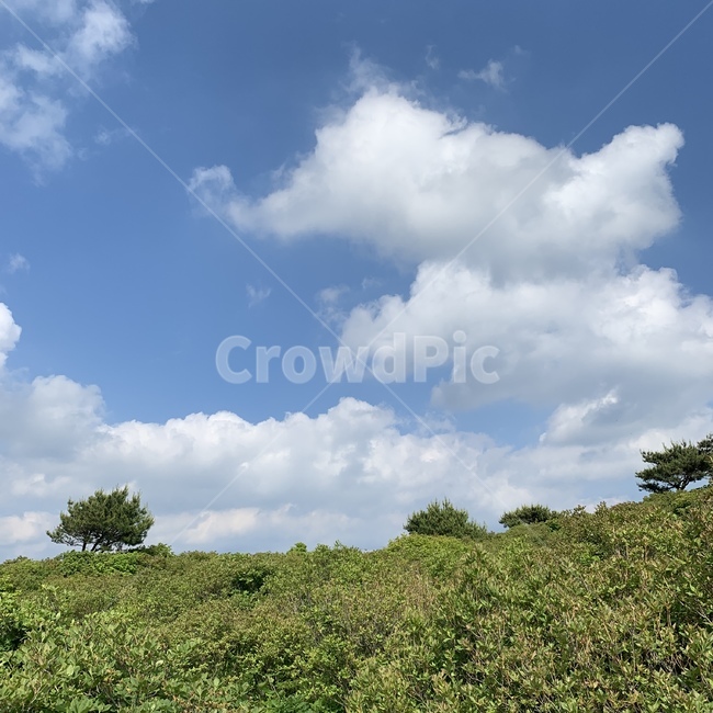 산,mountain,산정상,나무,하늘,구름,꼭대기