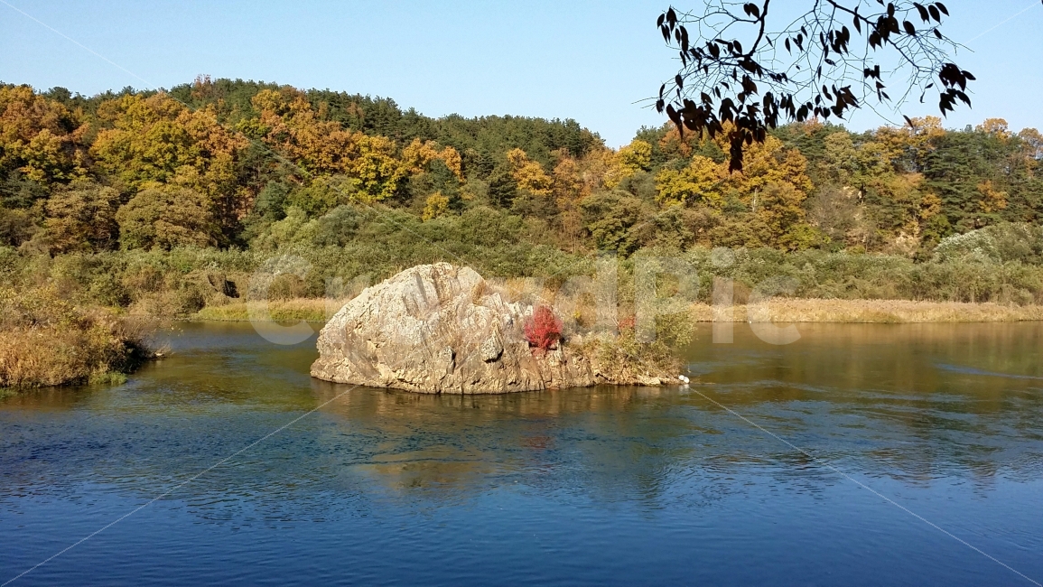 돌,강,가을,단풍,풍경,가을,계절,fall,autumn,season,자연,풍경,nature,landscape,한국자연풍경,한국자연경관,korea nature landscape,water,물,outdoors,옥외,land,땅
