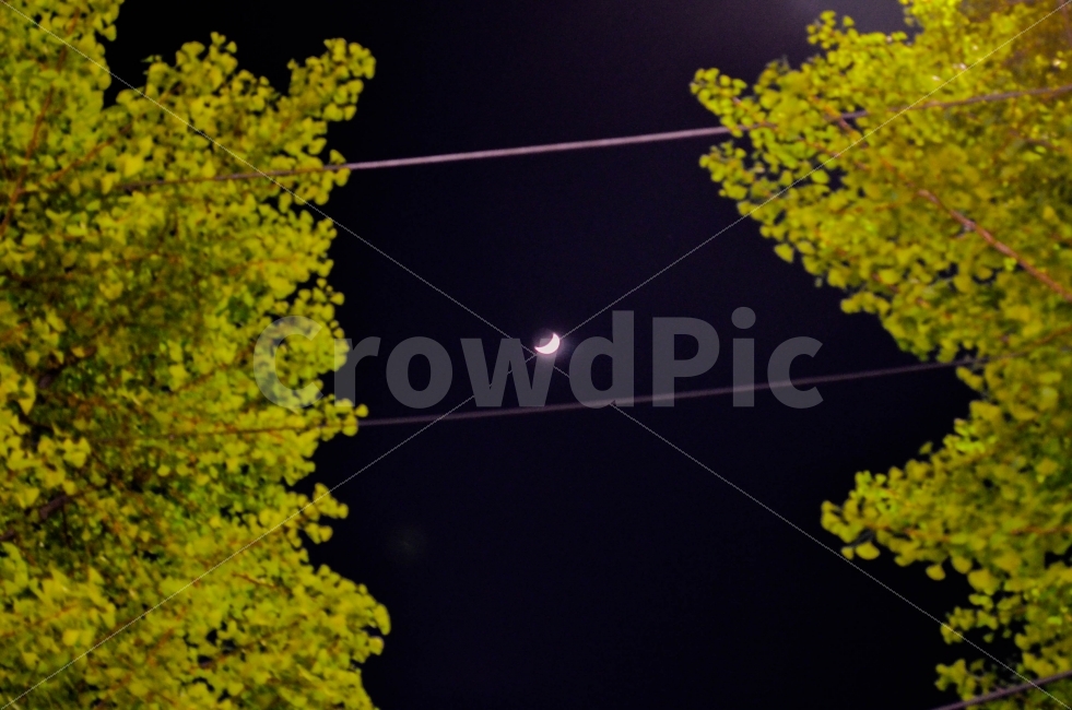 달,사진,밤하늘,풍경,니콘,자연,풍경,nature,landscape,야경,밤,nightscape,night