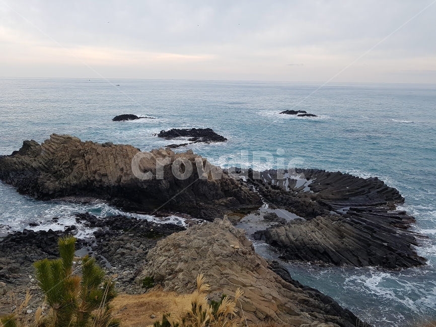 여행,자연,경주,주상절리,바다,해변,하늘,배경,바탕,물,파도,경치,풍경,돌,물결,휴일,휴식,휴가,관광,관광명소,한국,Travel,Trip,nature,natural,Korea,Korean,sea,beach,Ocean,sky,Background,water,wave,landscape,tree,stone,holiday,rest,vacation,tourist,tourism,자연,풍경,nature,landscape,한국자연풍경,한국자연경관,korea nature landscape,promontory,곶