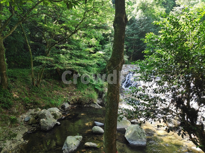 nature,자연,숲속,개울가,옥외,자연,풍경,nature,landscape