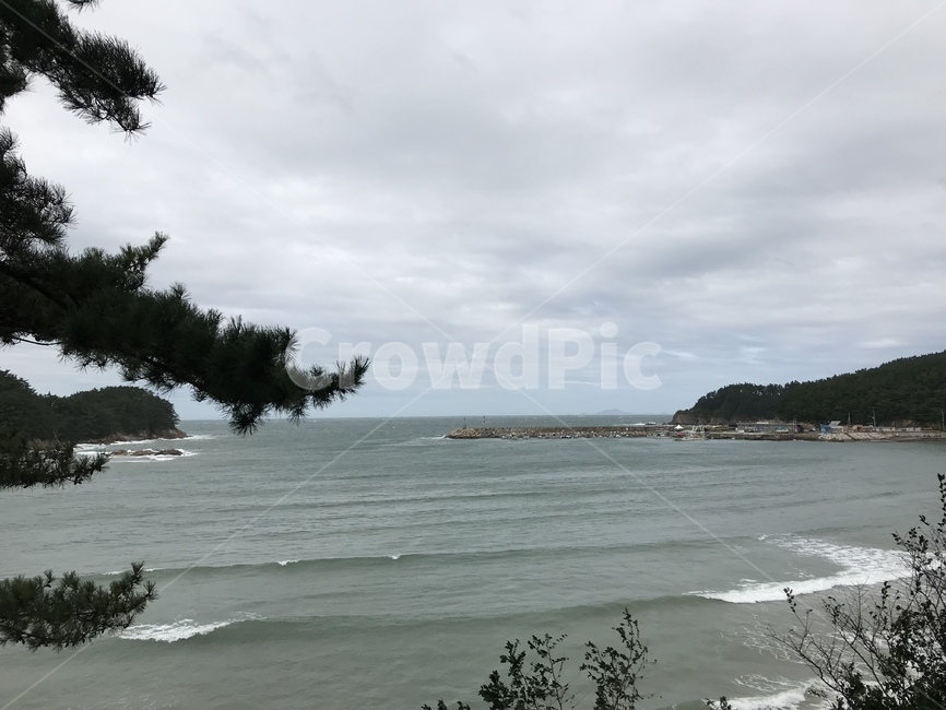 자연,바다,경치,nature,sea