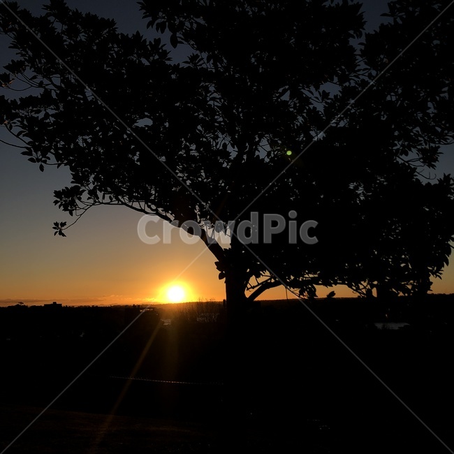 노을,석양,시드니,호주,light,sunset,sydeny,sunlight,야경,밤,풍경,nightscape,night,landscape