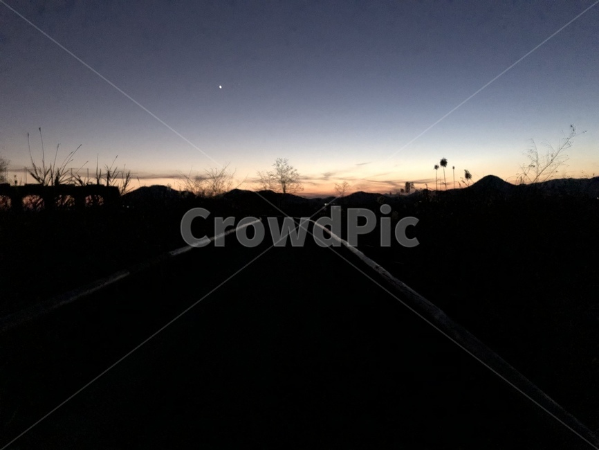 nature,자연,outdoors,옥외,산책로,저녁,순천만,습지,겨울,winter,맑음,자연,풍경,nature,landscape
