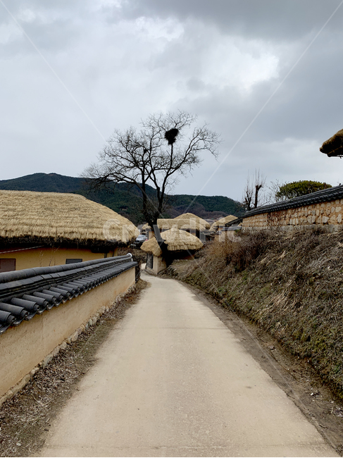 한국,전통,한옥,안동,하회마을,초가집,korea,tradition,koreanhouse,풍경,scenery,thatchedhouse,오두막,hut,한국전통,한국문화,korean traditional,korean culture