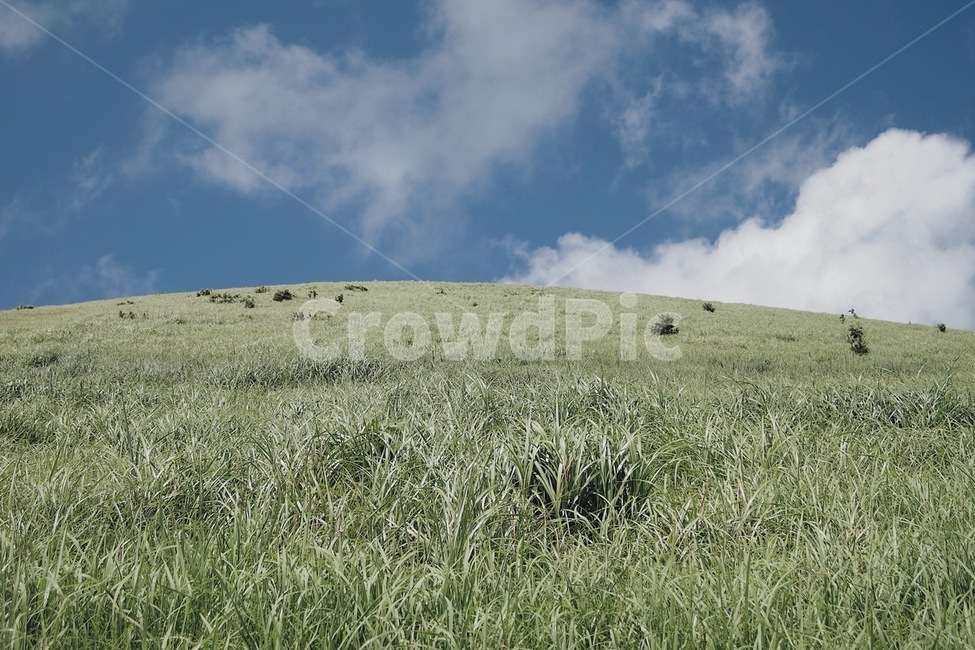 자연,하늘,풍경,오름,맑음,구름,풀,감성,자연,풍경,nature,landscape,grass,잔디,plant,식물,grassland,목초지,outdoors,옥외,field,들