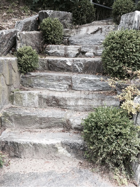 계단,돌계단,정원,stair,garden,나무,자연,natural