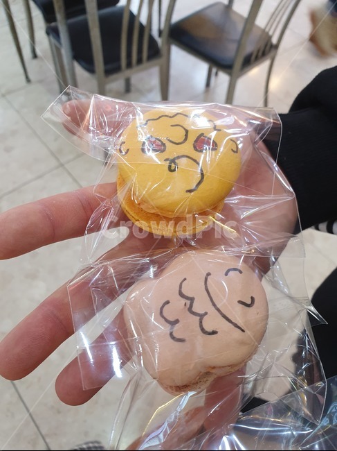 마카롱,뚱카롱,붕어빵,찰리,디저트