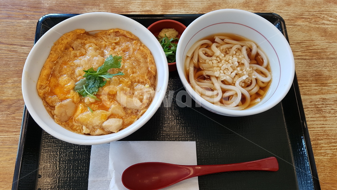 우동,오야코동,bowl,사발,food,음식,dish,요리,meal,식사