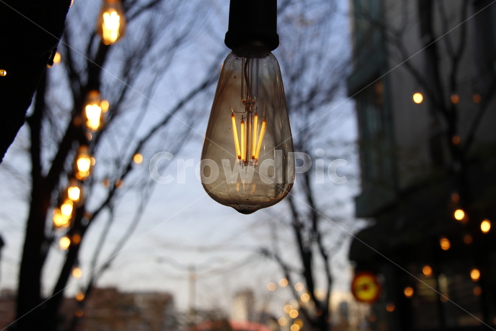 light,빛,전구,전등,불빛,전등빛