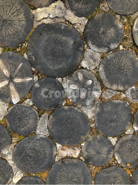 wood,나무,바닥,패턴,무늬,pattern,자연