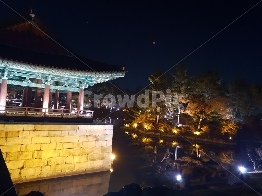 안압지,안압지야경,경주,경주야경,야경