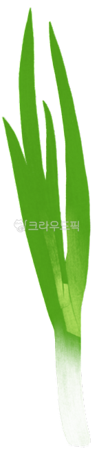 대파, 파, 대파일러스트, 대파그림, 대파한대, 사진,이미지,일러스트,캘리그라피 - Oseleta작가