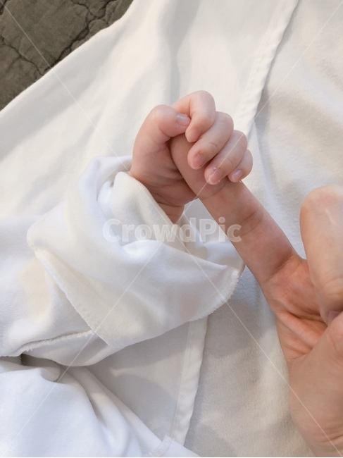 아기,손,귀여운,사랑,행복