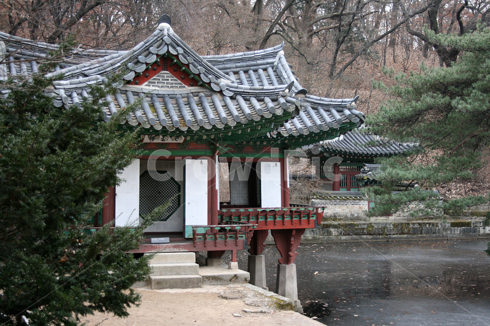 창덕궁,후원,부용정,부용지,세계문화유산,문화유산,한국,한국전통,한국문화,korean traditional,korean culture,랜드마크,landmark,tourist attraction,한국랜드마크,한국관광지,한국명소,korea landmark,korea tourist attraction