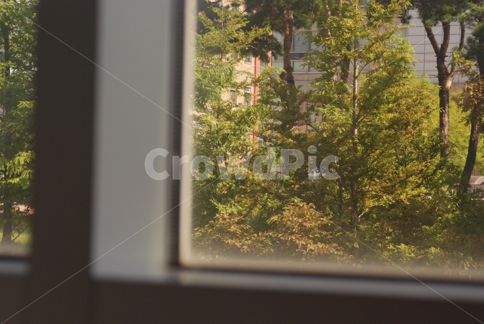 장소,자연,tree,나무,green,환경,사물,초록,색감,분위기,시선,느낌,숲,공간,감성,sensible,feeling