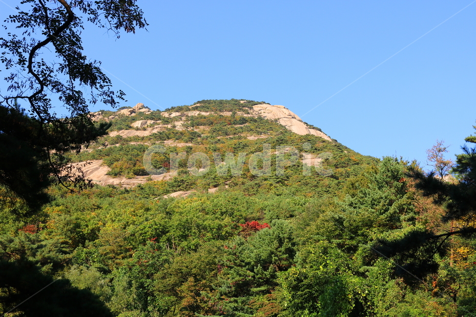북한산,산,자연,풍경,나무,식물,원효봉,공원,국립공원,북한산국립공원,등산로,산책로,자연,풍경,nature,landscape