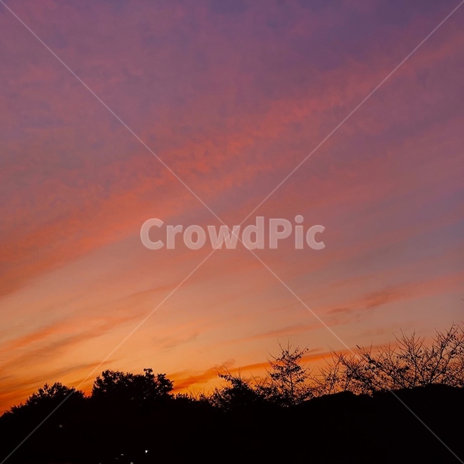 자연,옥외,하늘,새벽,일몰,붉은하늘,황혼,nature,outdoors,sky,dawn,sunset,redsky,dusk