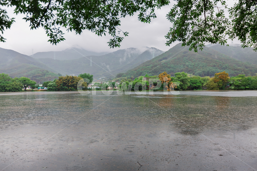 water,물,nature,자연,outdoors,lake,호수,비,위양지,풍경,배경,한국자연풍경,한국자연경관,plants,trees