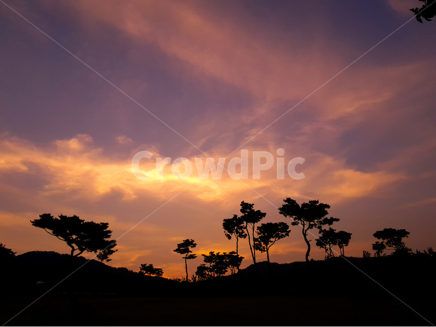 노을,여명,나무,풍경,구름,자연,풍경,nature,landscape,실루엣,그림자,silhouette,shadow,outdoors,옥외,dusk,황혼,sunset,일몰,dawn,새벽,sky,하늘,red sky,붉은 하늘