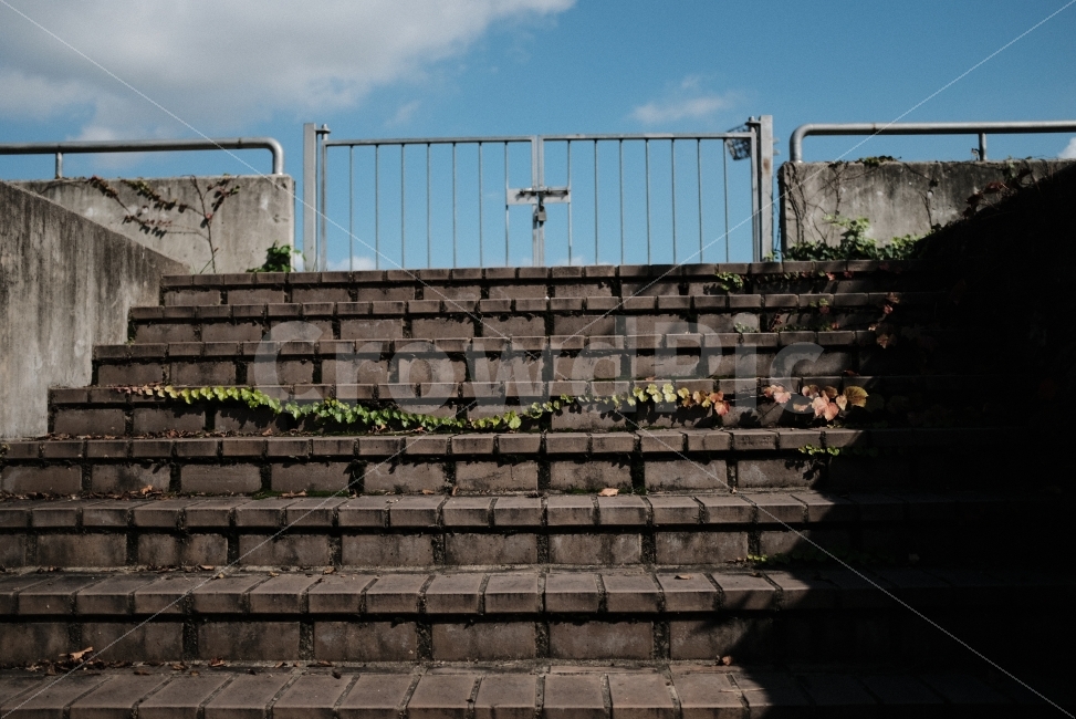가을,단풍,하늘,감성,낙엽,가을,계절,fall,autumn,season,handrail,난간,banister,railing