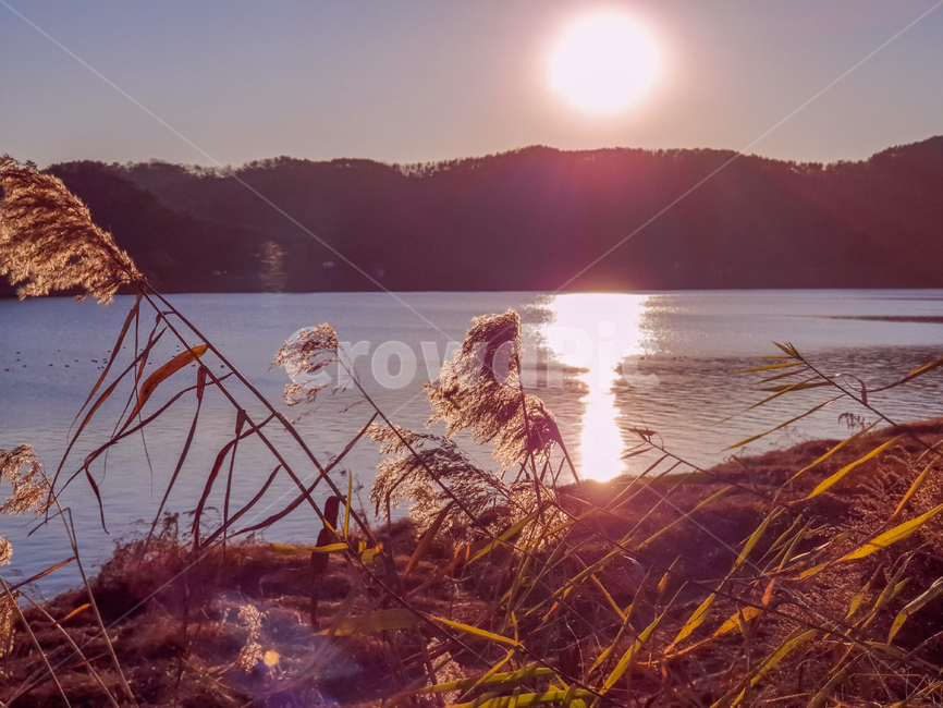 flare,플레어,light,빛,sunlight,햇빛,nature,자연,outdoors,옥외,풍경,자연,풍경,nature,landscape