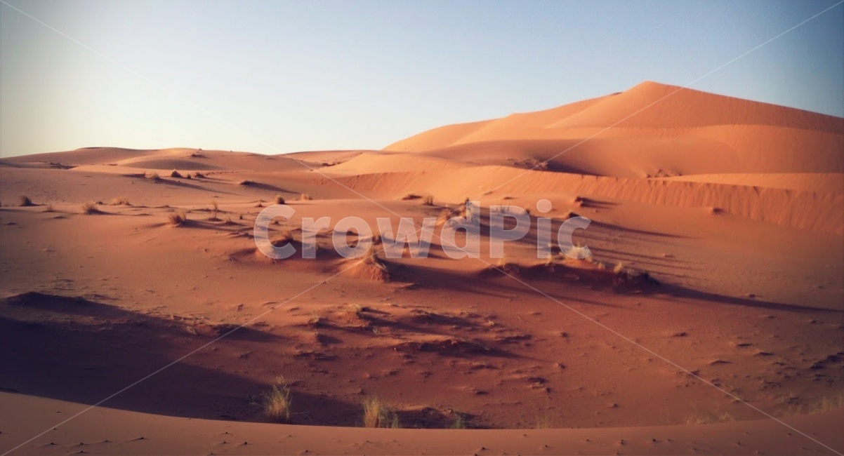 사막,사하라,풍경,여름,모로코,desert,sahara,morocco,summer,자연,풍경,nature,landscape,해외,외국,세계,foreign,oversea,world,세계자연풍경,해외자연풍경,외국자연풍경,world nature landscape,soil,흙,outdoors,옥외,sand,모래,dune,모래 언덕