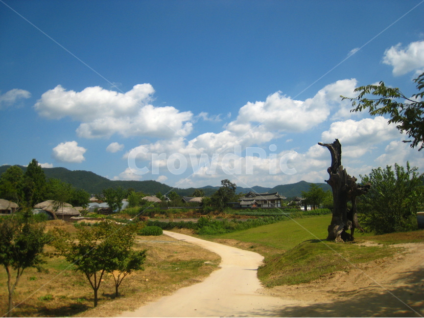 경북,안동,하회마을,골목,길,담장,파란하늘,구름,전통,wall,road,tradition,blue,sky,짚,straw,지붕,roof,나무,tree,cloud,자연,풍경,nature,landscape,시골,마을,country,rural,town,한국전통,한국문화,korean traditional,korean culture,outdoors,옥외,field,들