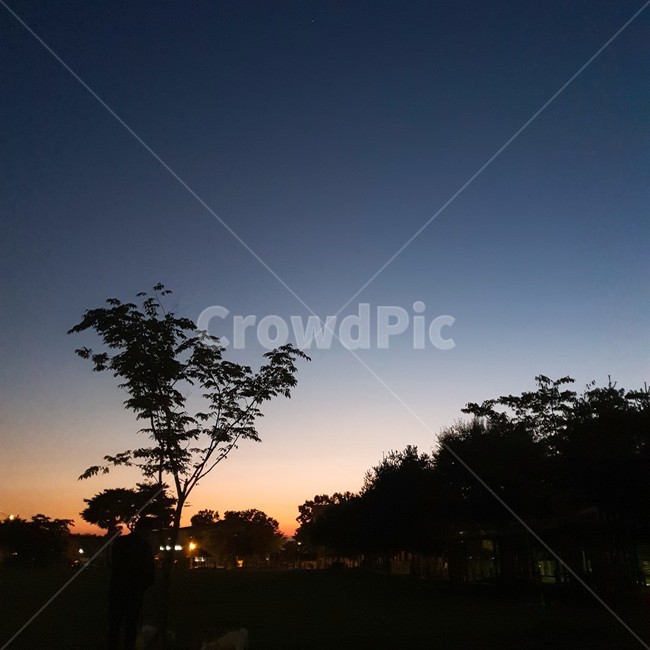 자연,일몰,붉은하늘,하늘,새벽,실루엣,공원,가을,옥외,감성사진,감성,색감,nature,outdoors,sunset,redsky,sky,dawn,silhouette